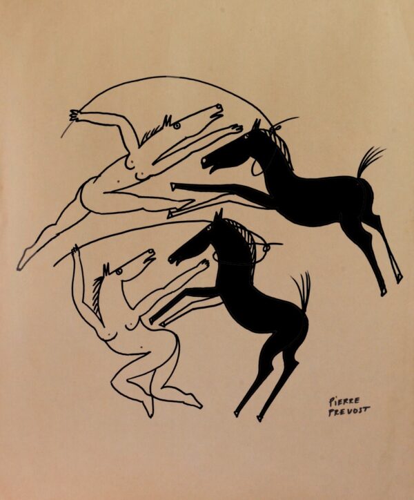 Un  livre d'art sur l'œuvre de Pierre Prévost – Image 11