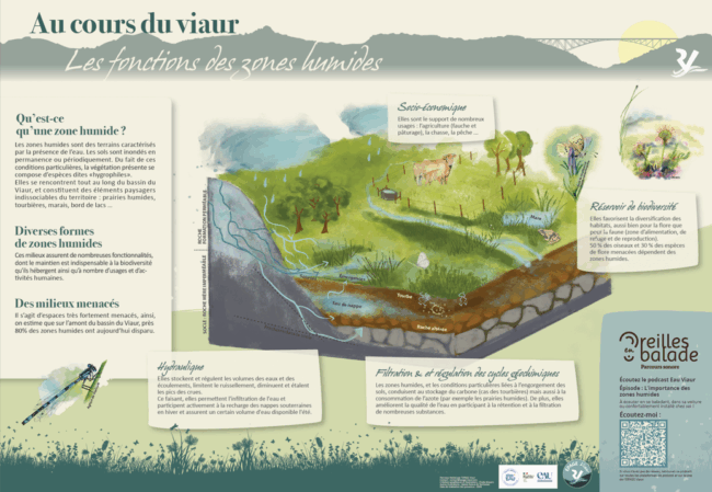 Epage_Viaur_Zones_humides