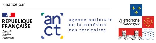 Logo-VDF